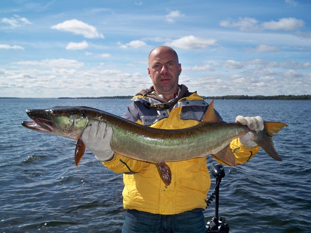 100_0821.JPG - Jay with a Sturgeon Lake Musky caught while fishing for Smallmouth.