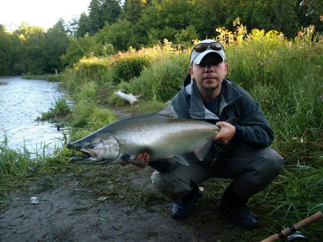 8-22-2011-willyCNR-ChromeBuck.jpg - Anes holding an early run Chinook Salmon from the Wilmot Creek, a tributary of Lake Ontario.