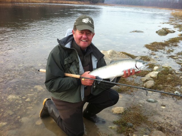 photophil45345345.JPG - Phil at the Saugeen with a nice Steelhead from the flats.