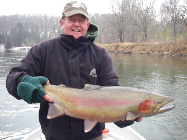 54645y6743012.jpg - Phil and a Huge "Buck" steelhead from the Big Manistee River near Welleston Michigan