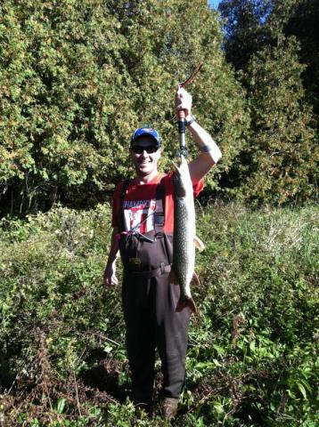 IMG-20120927-WA000.jpg - Ian caught this Pike on the Speed River using a Cotton Cordell Big O!7lbs 5 1/4 oz