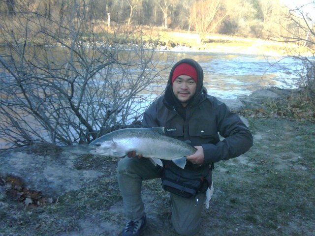 IMG00179-20111211-0912.jpg - Roy holding a steelhead from the Credit River in Mississauga.