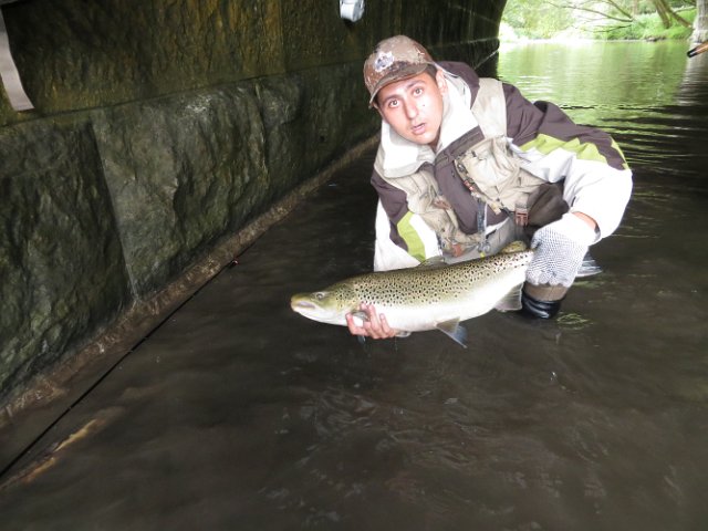 IMG_1085.JPG - Ryan holding a huge migratory Lake Ontario Tributary brown trout.