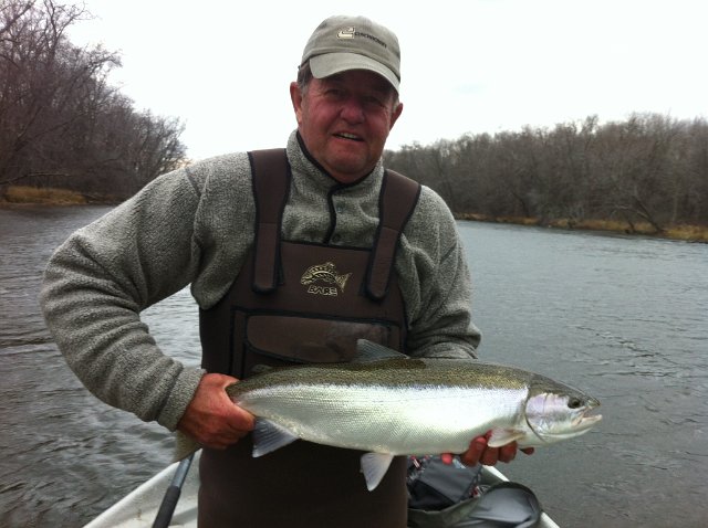 IMG_4006.jpeg - Phil from the Big Manistee in Michigan with a CHROME Steelhead!