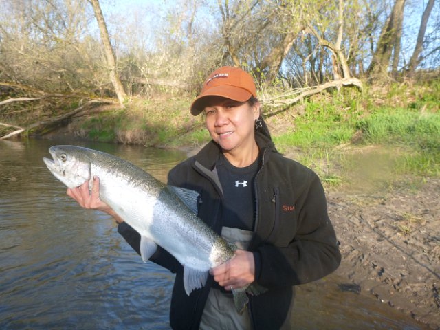 P1000024.JPG - Tess holding a Steelhead caught while fishing on Opening weekend 2012 on the Ganaraska River.