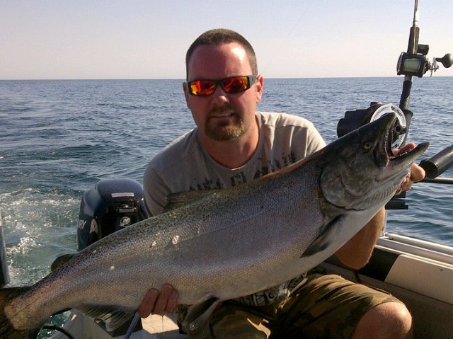brent_35252526.jpeg - 29 lbs Lake Ontario Chinook.....Port Whitby 2012. Brent