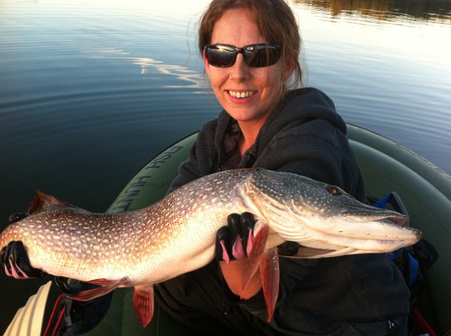 melissa_3431254235123.JPG - Melissa on Guelph lake holding a pike caught on a crank bait in the early evening.