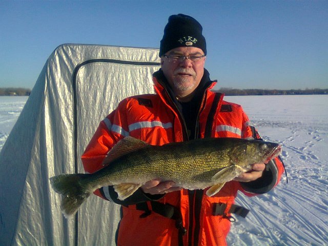 photo67u56u.JPG - Scotty and a Walleye from Bay of Quinte. This beauty was caught on a Cordell CC Spoon.