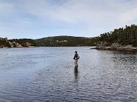 Ian Fishing Sea Run Browns in St. Johns Newfoundland ..