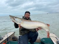 Another 50" Lake St. Clair Musky ...