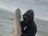 Another look at Josh's 50" Lake St. Clair Musky ...