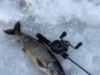 Ice Fishing for Lake Trout on a Muskoka Region Lake ...