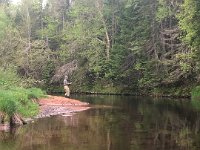 The Morell River, PEI ...