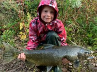 Owen's Bronte Creek Chinook Salmon ...