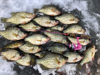 Aaron's Parry Sound Crappies ... Find The Perch ... ??