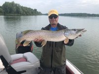Russ' great Northern Pike ... FROM GUELPH LAKE!!