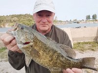 Steve's great Maitland River Smallmouth Bass ...