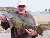 Another of Steve's great Maitland River Smallmouth Bass ...