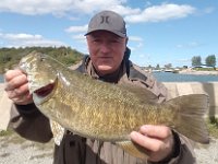 Steve's Lower Maitland Smallmouth Bass ...