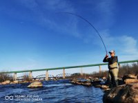 Fishing The St. Marys River in Sault Ste Maire ...