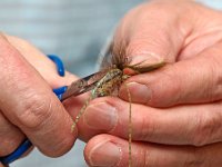 HLS Gary Campbell carp flies 02112017 (19)ST