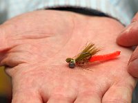 HLS Gary Campbell carp flies 02112017 (7)ST