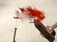 HLS Rick Brunsden Winter Steelhead 12172016 (16)ST