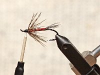 HLS Rick Brunsden Winter Steelhead 12172016 (22)ST