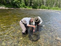 Keith Fighting another Atlantic Salmon ...