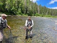 Keith's Atlantic Salmon ...