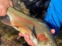 A Rainbow From The St. Mary's River in Sault Saint Marie ...