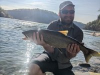 Mike's Niagara River Whirlpool Lake Trout ...