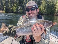 A Nipigon River Brook Trout ...