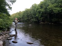 Richard & Wanda on Willowemoc Creek in New York ...