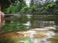 Richard & Wanda on Willowemoc Creek in New York ...