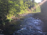 Richard & Wanda on Willowemoc Creek in New York ...