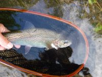 Richard on the Upper Saugeen River ...