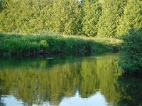 Richard on the Upper Saugeen River ...