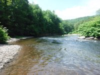 Richard & Wanda on Willowemoc Creek in New York ...