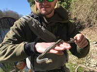 Alex Handling a Snake while on the Lower Maitland River ...