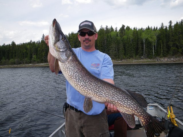 IMGP1558.JPG - Eric with a huge Northern Pike from a mid-May trip to the Berens River system (Moar Lake/Sharpstone Lake sitting right on the boarder of Ontario and Manitoba).