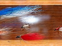 HLS Rick Brunsden Winter Steelhead 12172016 (3)ST