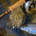 Premium Trout Salmon Steelhead Fishing Beads 8mm Assortment 10 Colors Box