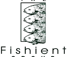 H2O fishient fishing logo