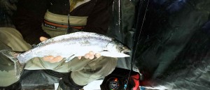 Simms G3 Waders Ice Fishing for Spring Chinook Salmon A