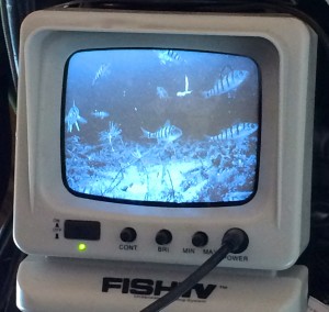 Aqua Vu Fish TV AA