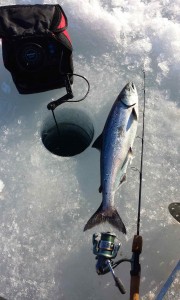 Spring Salmon Thru the Ice Owen Sound Marcum Flasher A