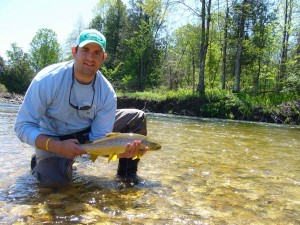 Saugeen River Upper Native Brown Trout
