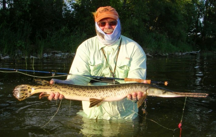 Longnose Gar Pike