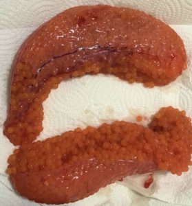 Gamakatsu DuraScent Salmon Eggs - Hook, Line and Sinker - Guelph's